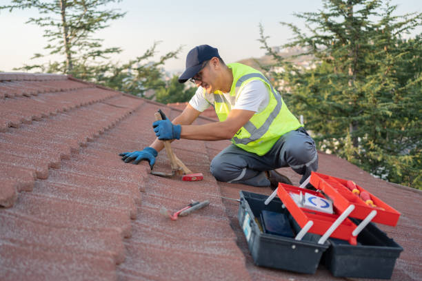 Best Gutter Installation and Roofing  in Como, MS